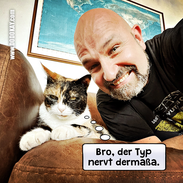 Dodokay Internationaler Tag der Katze Weltkatzentag Wilma Schwäbisch Dodokay Internationaler Tag der Katze Weltkatzentag Wilma Schwäbisch